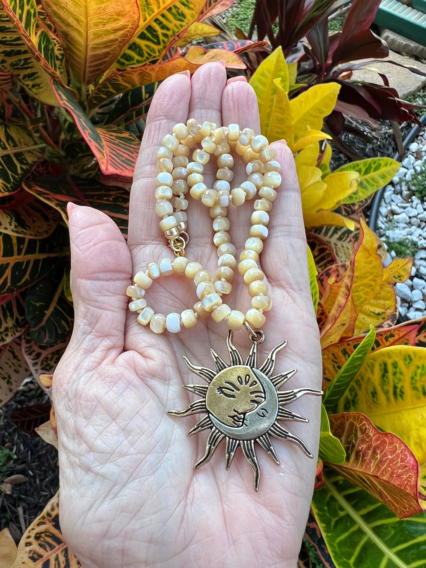 Sunshine Seashell